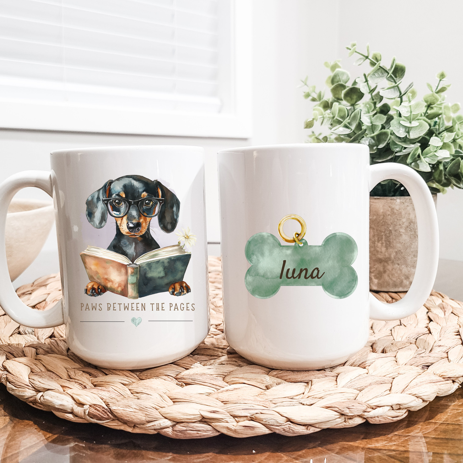 Paws Between the Pages Collection