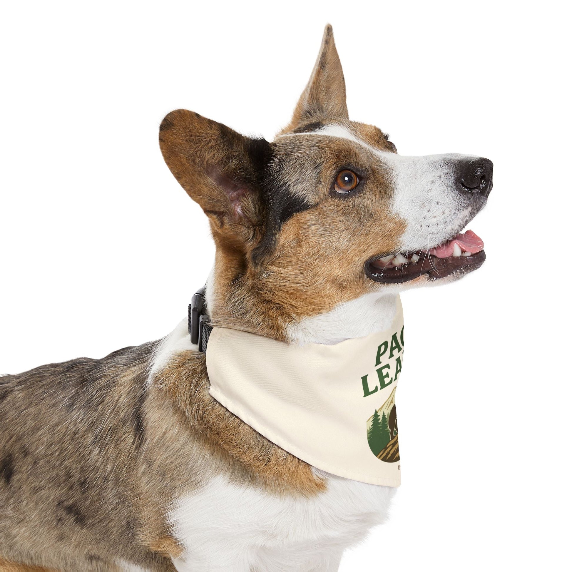 Pack Leader Dog Bandana 