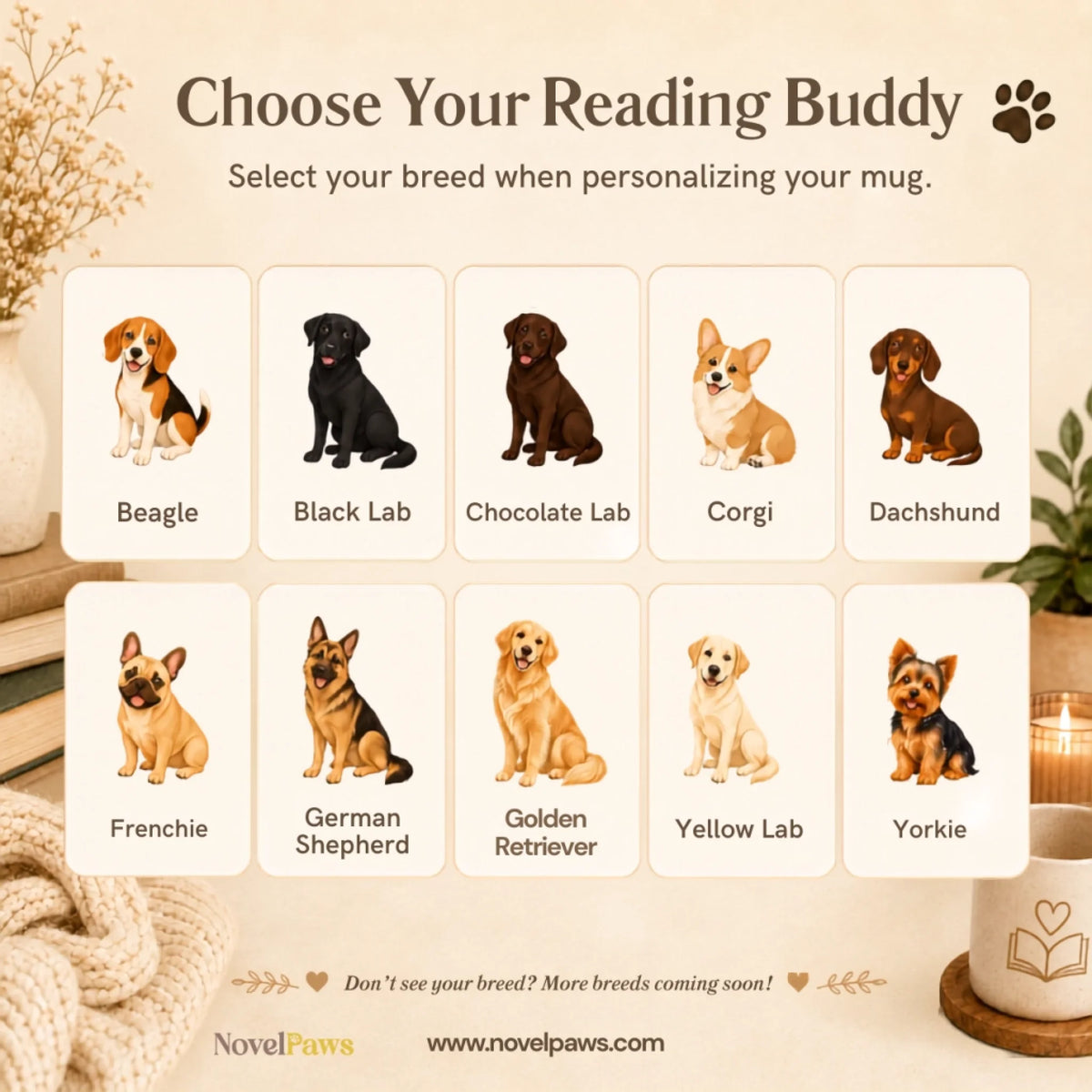 Golden Retriever (1)