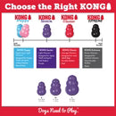 KONG Senior Chew Toy — Medium - Novel Paws