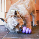 KONG Senior Chew Toy — Medium - Novel Paws