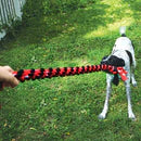 KONG Signature Rope Dual Knot Dog Toy 20" - Novel Paws