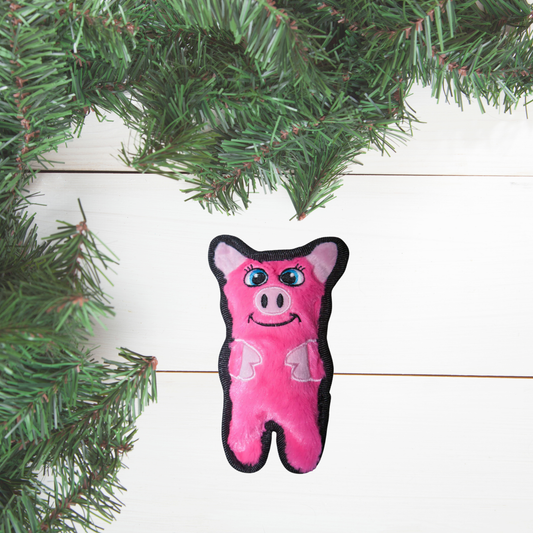 Outward Hound Invincibles Pig Dog Toy – XS